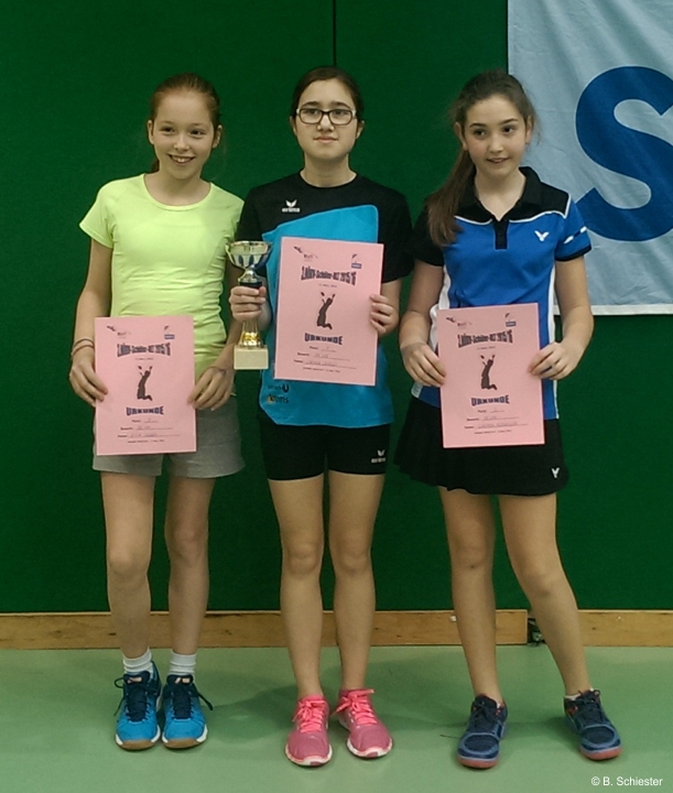 3nöSchRLT1516 3002hp